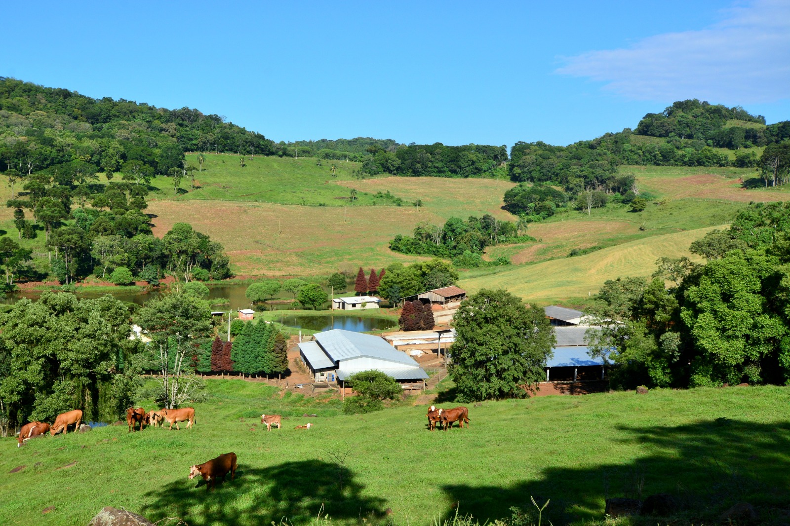 Programas para apoiar investimentos nas propriedades rurais estão em operação e já podem ser acessados pelos produtores