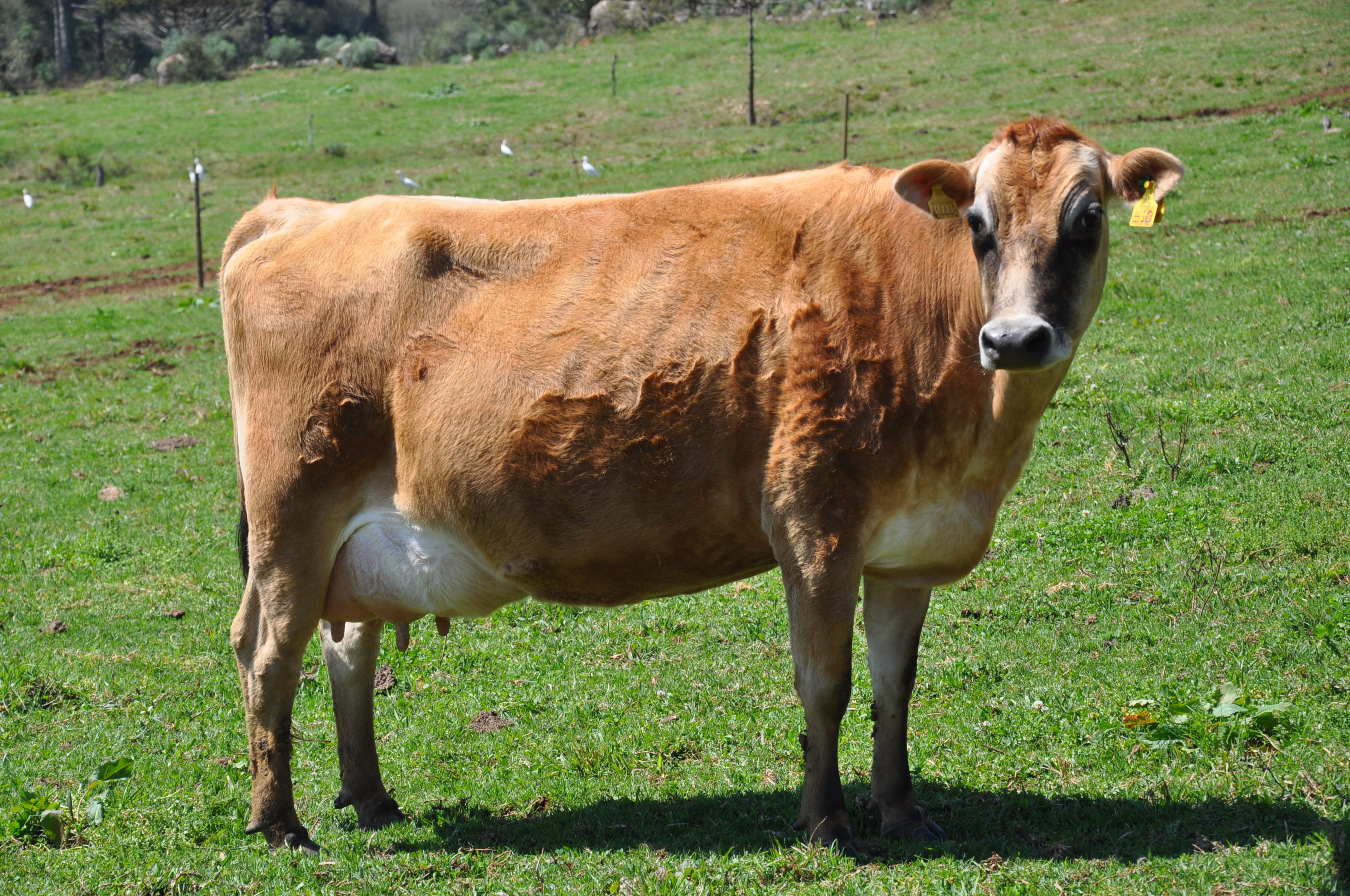 Programa estadual Pronampe Leite fecha o primeiro mês com R$ 84 milhões em operações