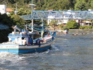 Santa Catarina pede revisão de cota de pesca da tainha para 2023